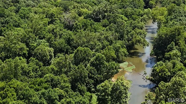 $389,000 | 16680 Cantrell Drive, Licking, MO 65542