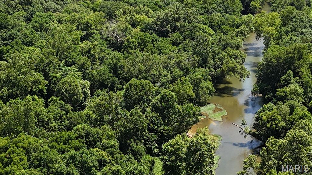 16680 Cantrell Drive Licking, MO 65542 - Photo 46 of 92