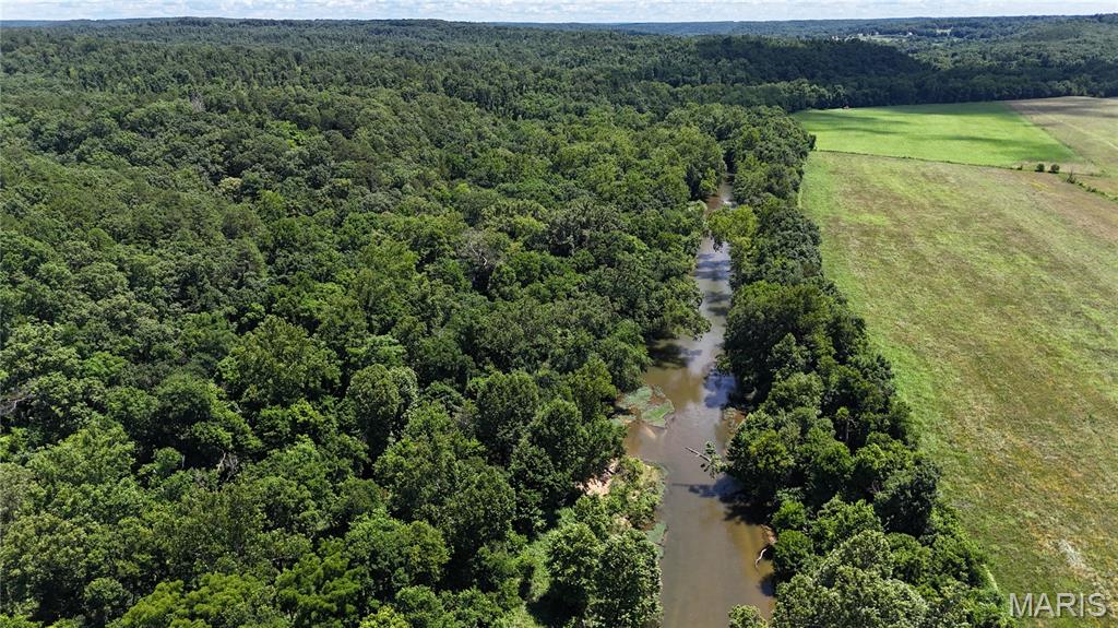 16680 Cantrell Drive Licking, MO 65542 - Photo 49 of 92