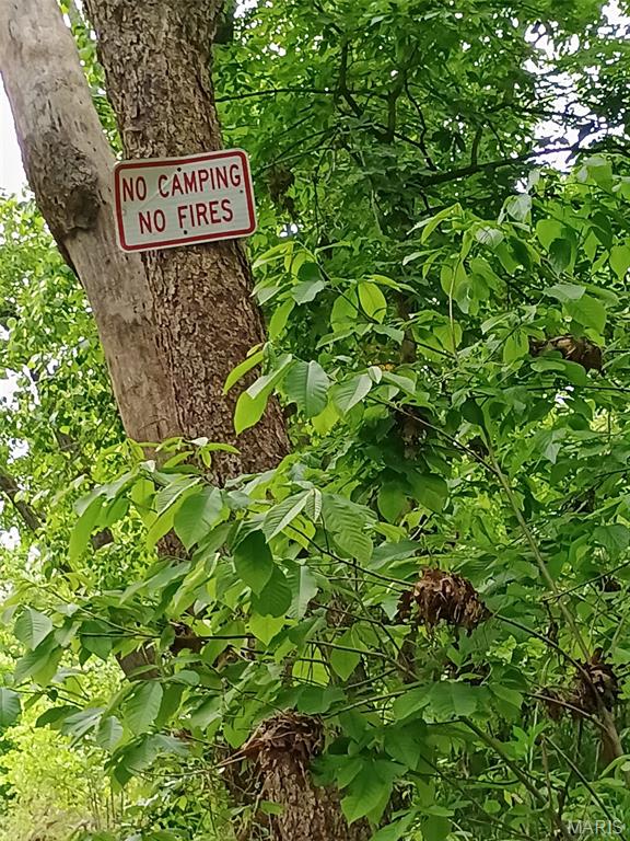 16680 Cantrell Drive Licking, MO 65542 - Photo 52 of 92