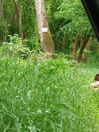 $389,000 | 16680 Cantrell Drive, Licking, MO 65542