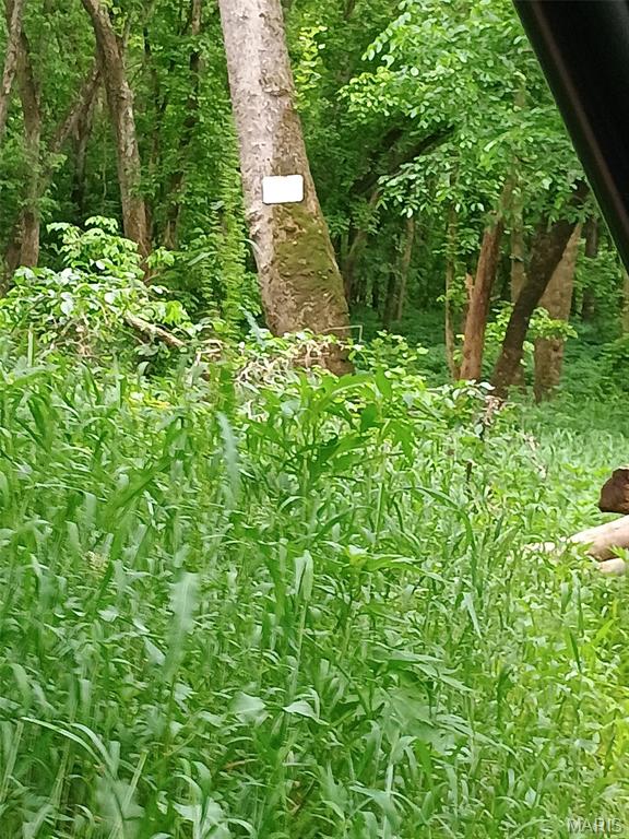 16680 Cantrell Drive Licking, MO 65542 - Photo 53 of 92