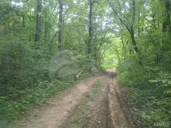 $389,000 | 16680 Cantrell Drive, Licking, MO 65542