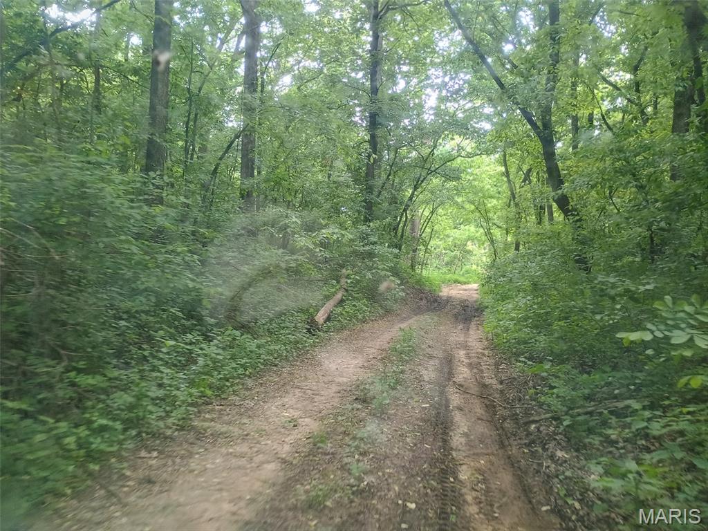 16680 Cantrell Drive Licking, MO 65542 - Photo 54 of 92