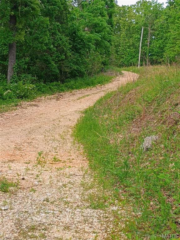 16680 Cantrell Drive Licking, MO 65542 - Photo 55 of 92