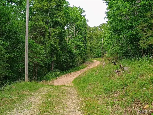 $389,000 | 16680 Cantrell Drive, Licking, MO 65542