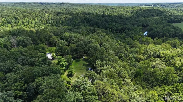 $389,000 | 16680 Cantrell Drive, Licking, MO 65542