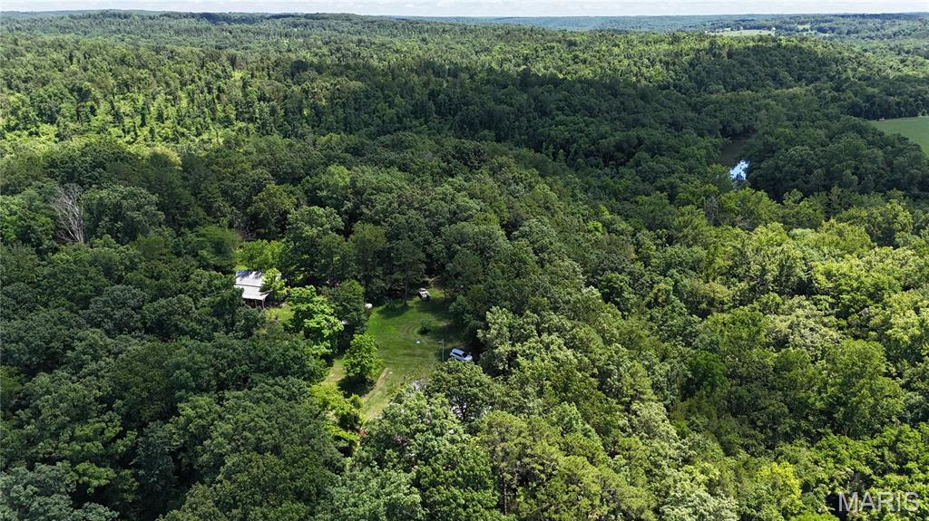 16680 Cantrell Drive Licking, MO 65542 - Photo 59 of 92