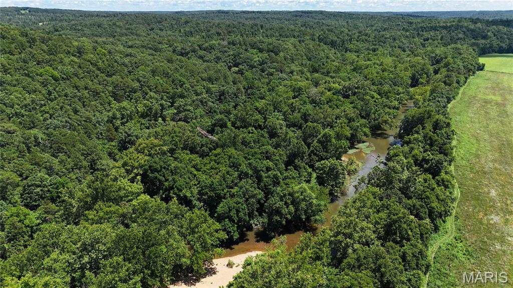 16680 Cantrell Drive Licking, MO 65542 - Photo 60 of 92