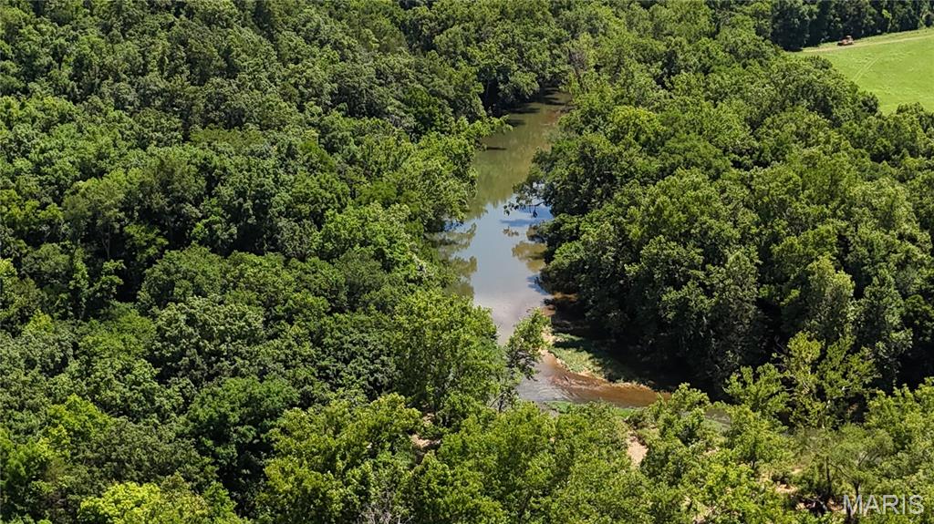 16680 Cantrell Drive Licking, MO 65542 - Photo 62 of 92