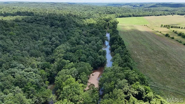 $389,000 | 16680 Cantrell Drive, Licking, MO 65542