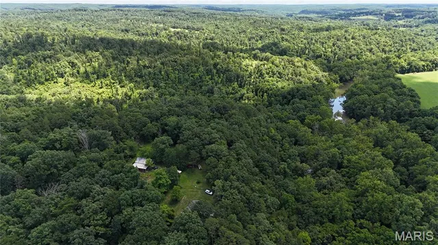 $389,000 | 16680 Cantrell Drive, Licking, MO 65542