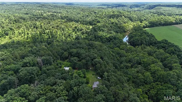 $389,000 | 16680 Cantrell Drive, Licking, MO 65542