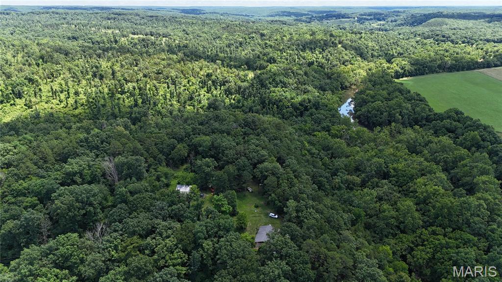 16680 Cantrell Drive Licking, MO 65542 - Photo 65 of 92