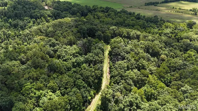 $389,000 | 16680 Cantrell Drive, Licking, MO 65542