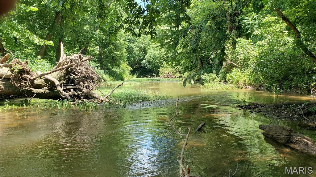 16680 Cantrell Drive Licking, MO 65542 - Photo 68 of 92