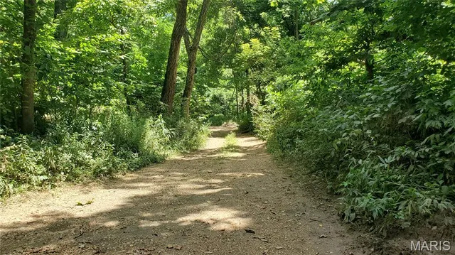 $389,000 | 16680 Cantrell Drive, Licking, MO 65542