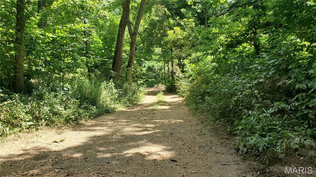 16680 Cantrell Drive Licking, MO 65542 - Photo 70 of 92