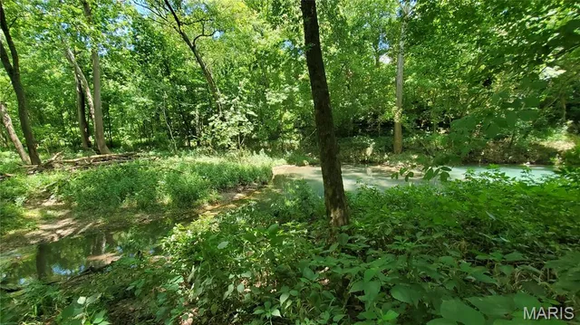 $389,000 | 16680 Cantrell Drive, Licking, MO 65542