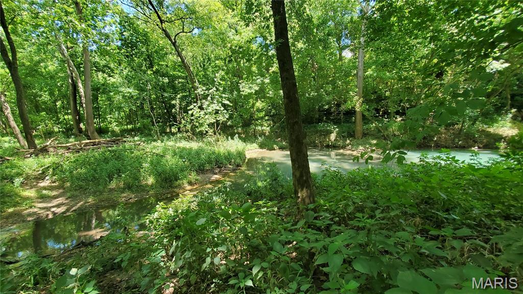 16680 Cantrell Drive Licking, MO 65542 - Photo 72 of 92