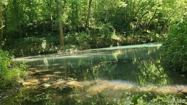 $389,000 | 16680 Cantrell Drive, Licking, MO 65542