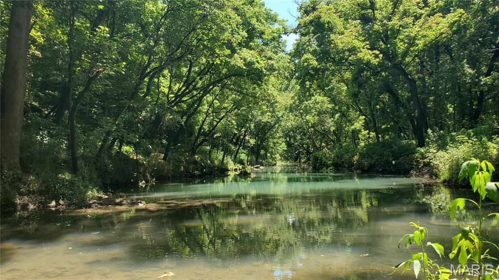 16680 Cantrell Drive Licking, MO 65542 - Photo 74 of 92