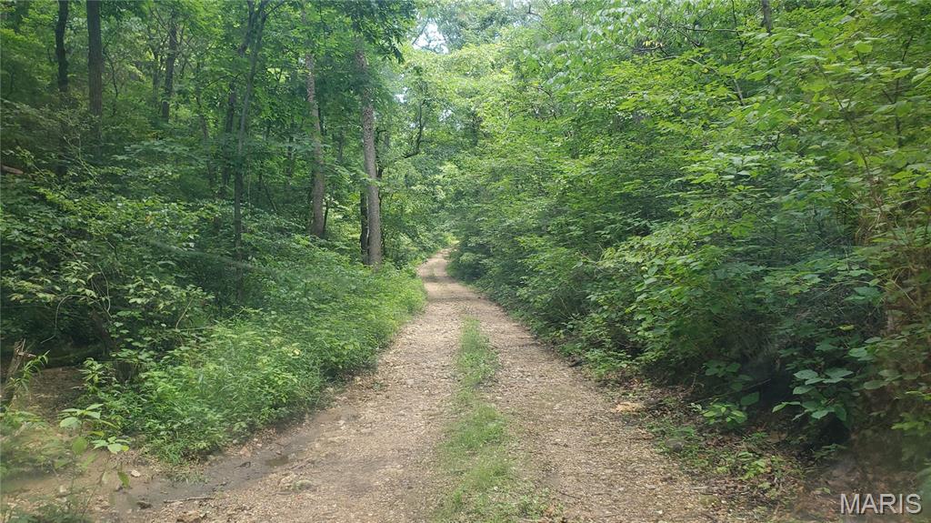 16680 Cantrell Drive Licking, MO 65542 - Photo 75 of 92