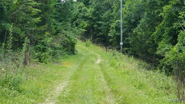 $389,000 | 16680 Cantrell Drive, Licking, MO 65542