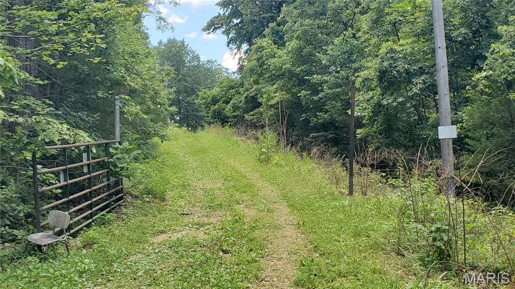 16680 Cantrell Drive Licking, MO 65542 - Photo 77 of 92