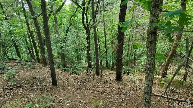 $389,000 | 16680 Cantrell Drive, Licking, MO 65542