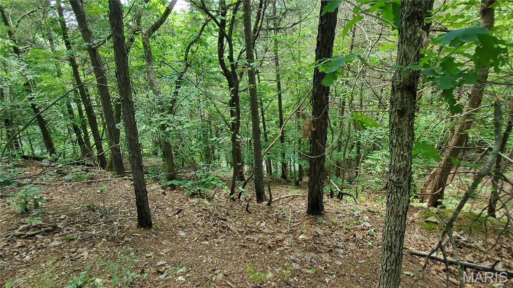 16680 Cantrell Drive Licking, MO 65542 - Photo 78 of 92