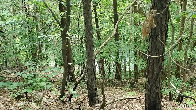 $389,000 | 16680 Cantrell Drive, Licking, MO 65542