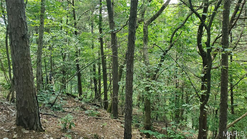 16680 Cantrell Drive Licking, MO 65542 - Photo 80 of 92