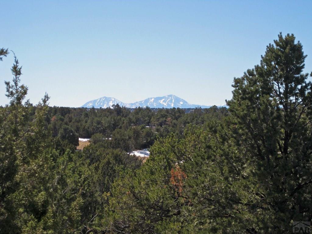Lot 8 Wyatt Court Rye, CO 81069 - Photo 5 of 21