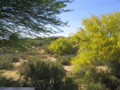 3560 West Sky Ridge Loop Tucson, AZ 85742 - Photo 8 of 8