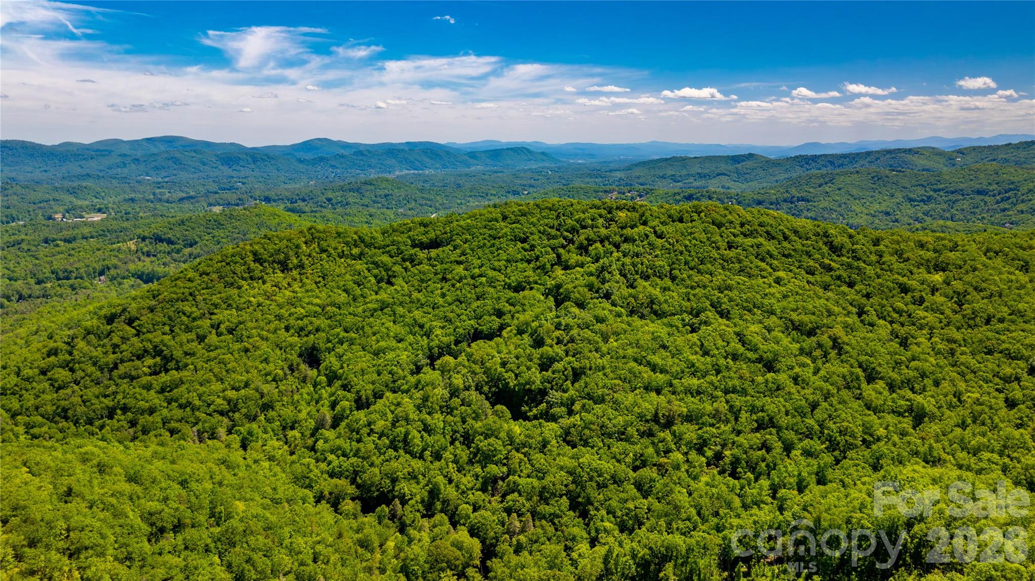 214 Ballard Creek Road Fairview, NC 28730 - Photo 12 of 18 a view of a lush green forest with a houses