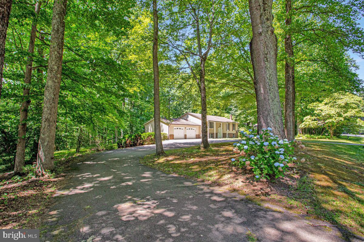 6524 Wilson Road Friendship, MD 20758 - Photo 5 of 48