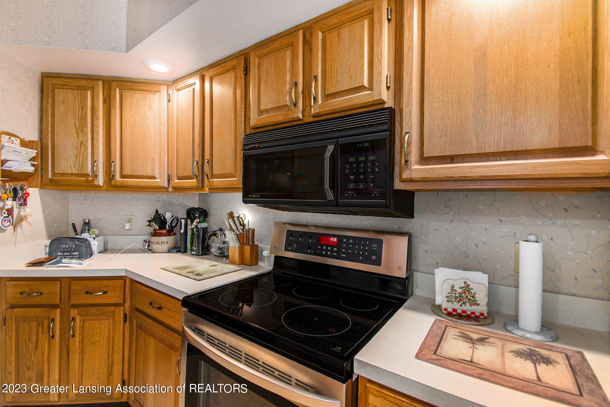 3731 Springbrook Lane Lansing, MI 48917 - Photo 10 of 33 011_ndp3123