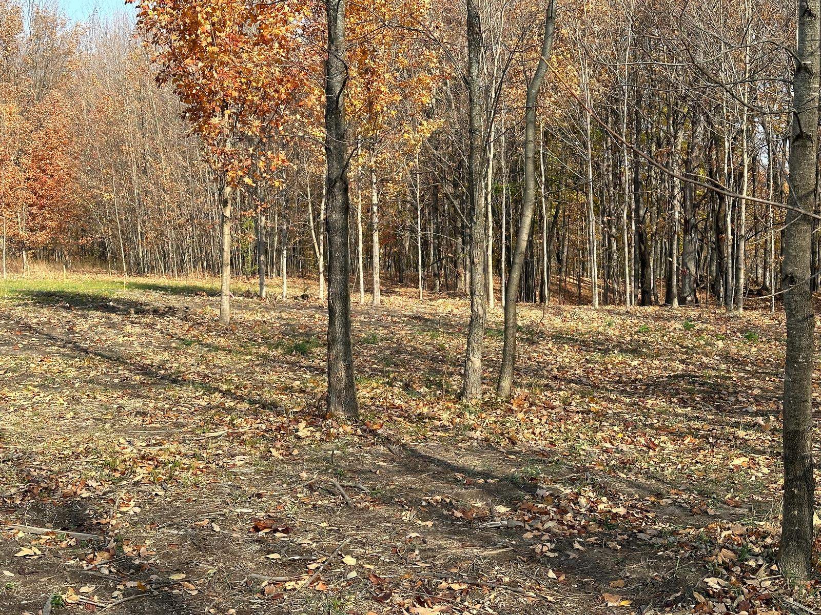 4461 Powell Road Kewadin, MI 49648 - Photo 8 of 18 Gallery Image 8