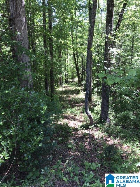 Wright Way Drive, Unit 3 Wedowee, AL 36278 - Photo 3 of 8