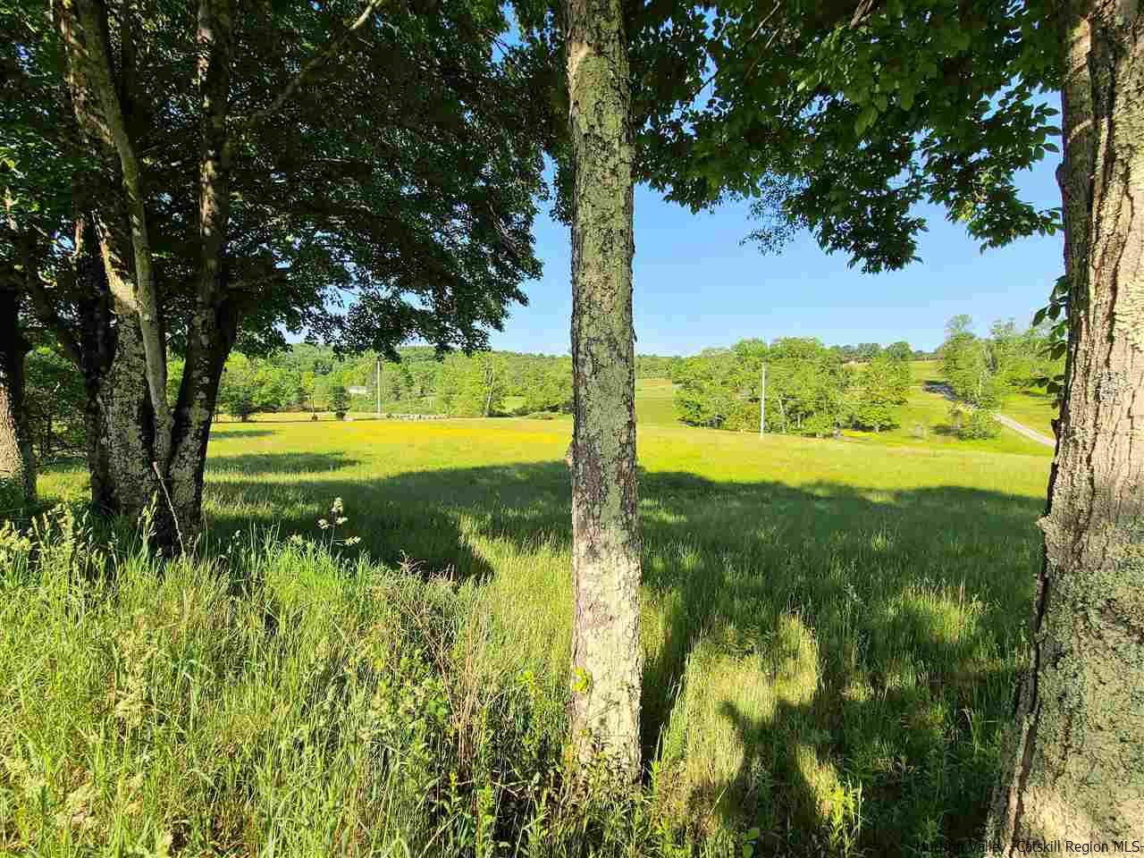 81 Shortcut Road Cochecton, NY 12726 - Photo 33 of 35 Photo 33