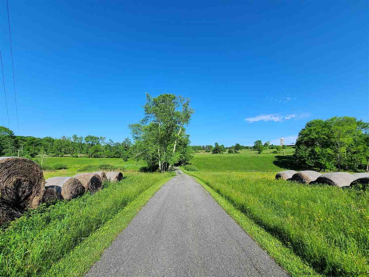 81 Shortcut Road Cochecton, NY 12726 - Photo 8 of 35 Photo 8