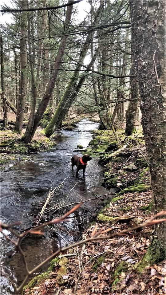 81 Shortcut Road Cochecton, NY 12726 - Photo 9 of 35 Photo 9