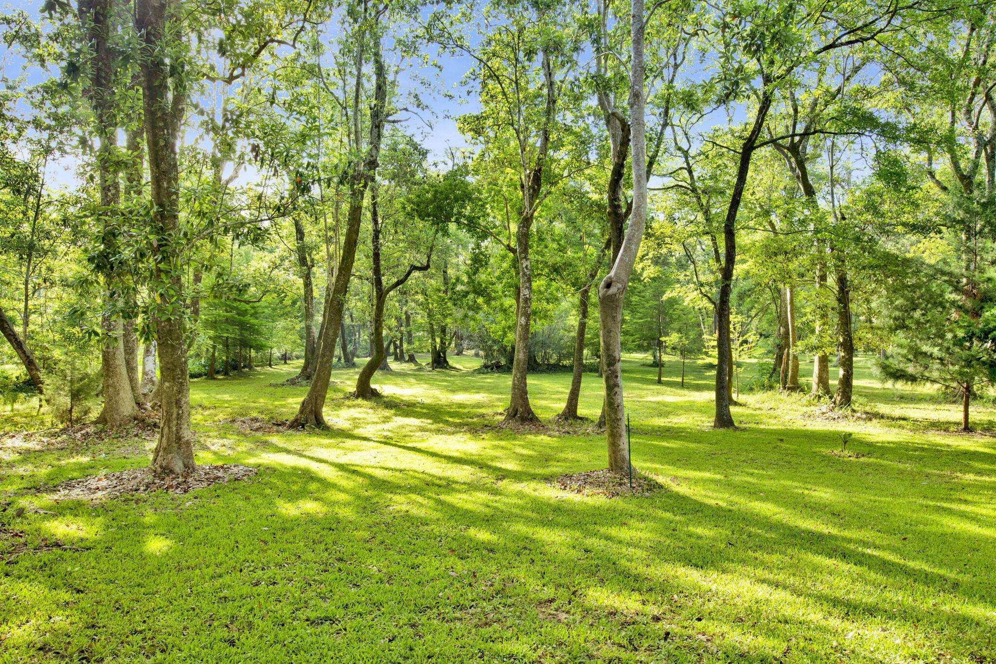 11749 Venice Boulevard Foley, AL 36535 - Photo 37 of 43 Yard