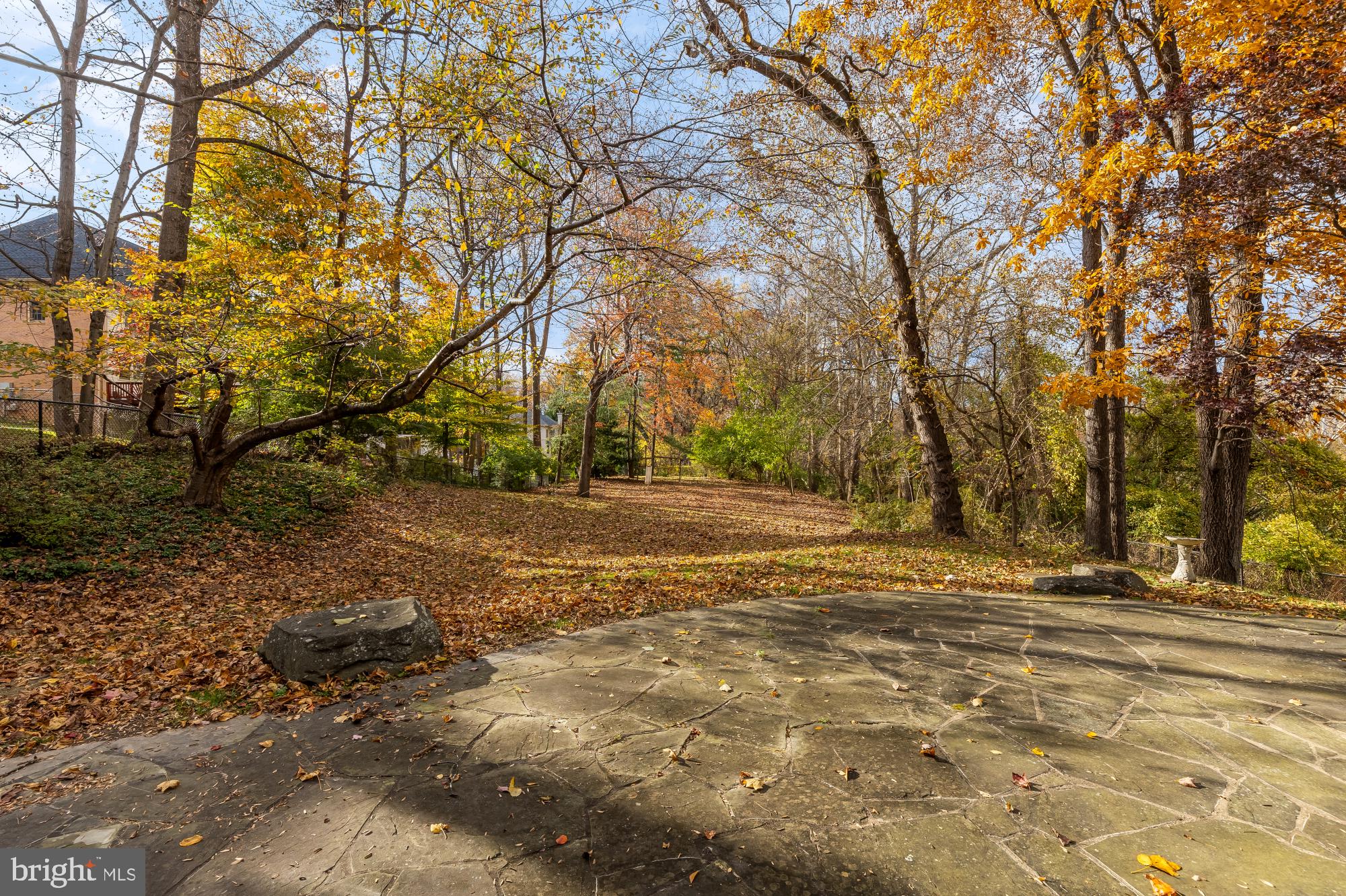 1434 Kirby Road McLean, VA 22101 - Photo 49 of 53 a view of road with trees