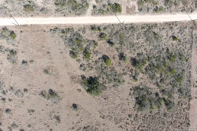 a view of a dry yard with trees in the background