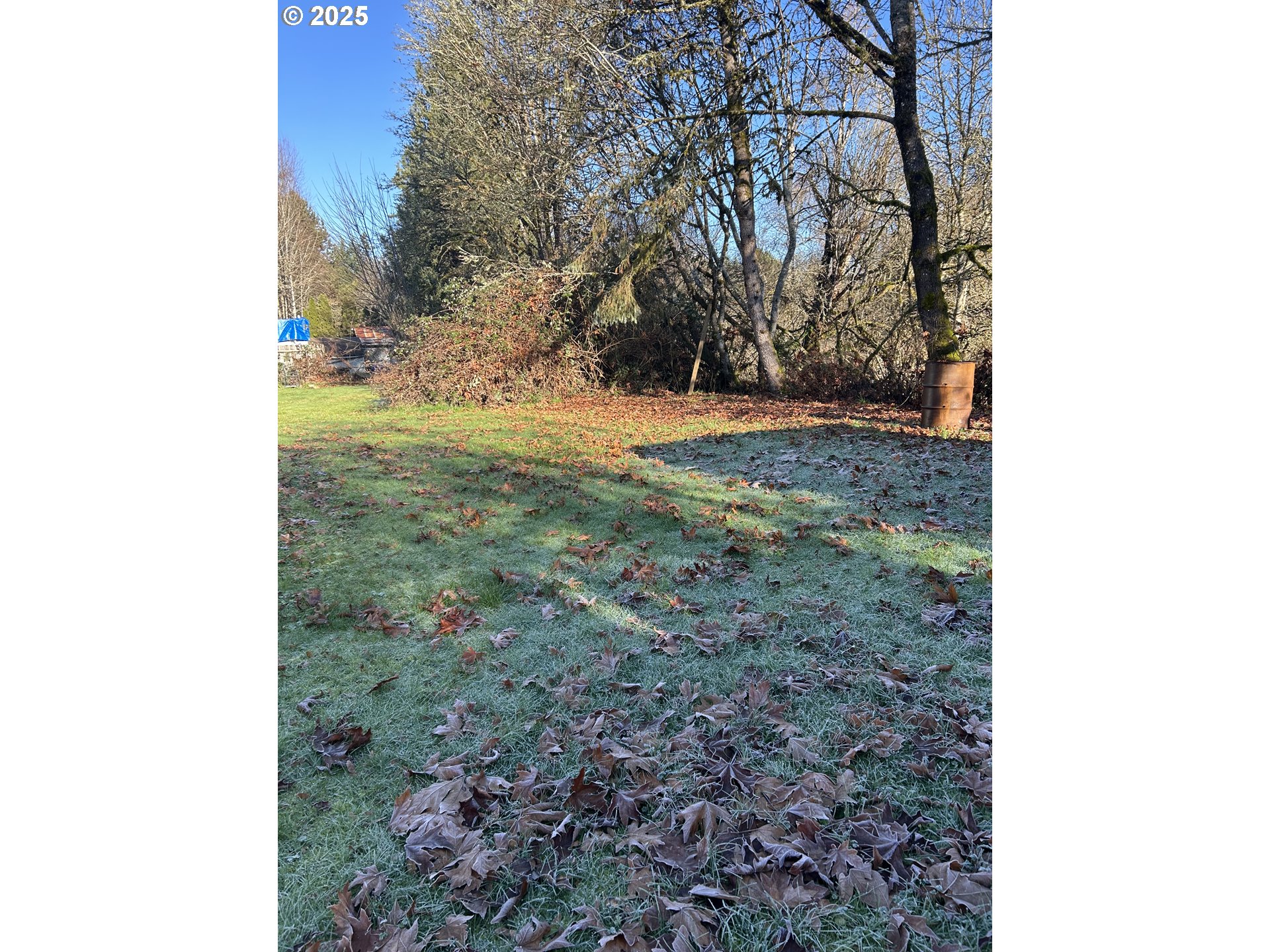 1105 Riverside Drive, Unit 17 Vernonia, OR 97064 - Photo 23 of 26 a view of a yard with trees
