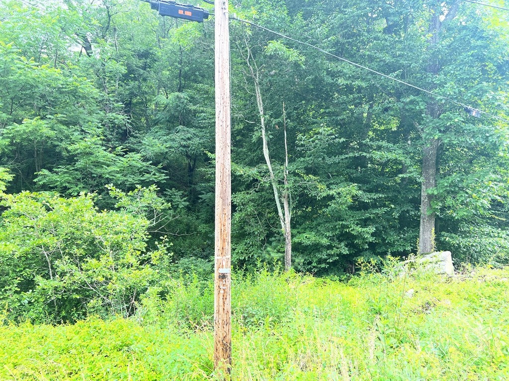 Tbd Hines Branch Road Elk Creek, VA 24326 - Photo 4 of 15 Gallery Image 4