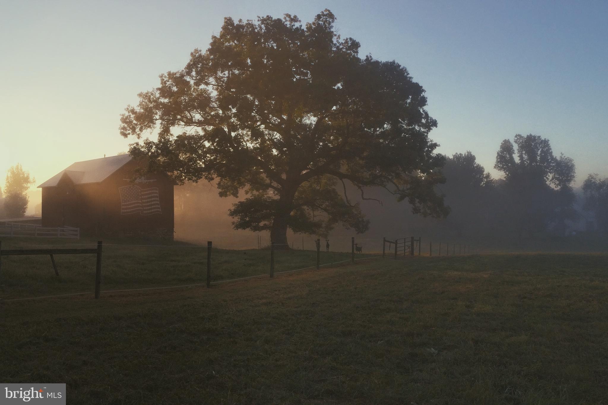 4011 Webster Road Havre de Grace, MD 21078 - Photo 51 of 54 Misty meadow.