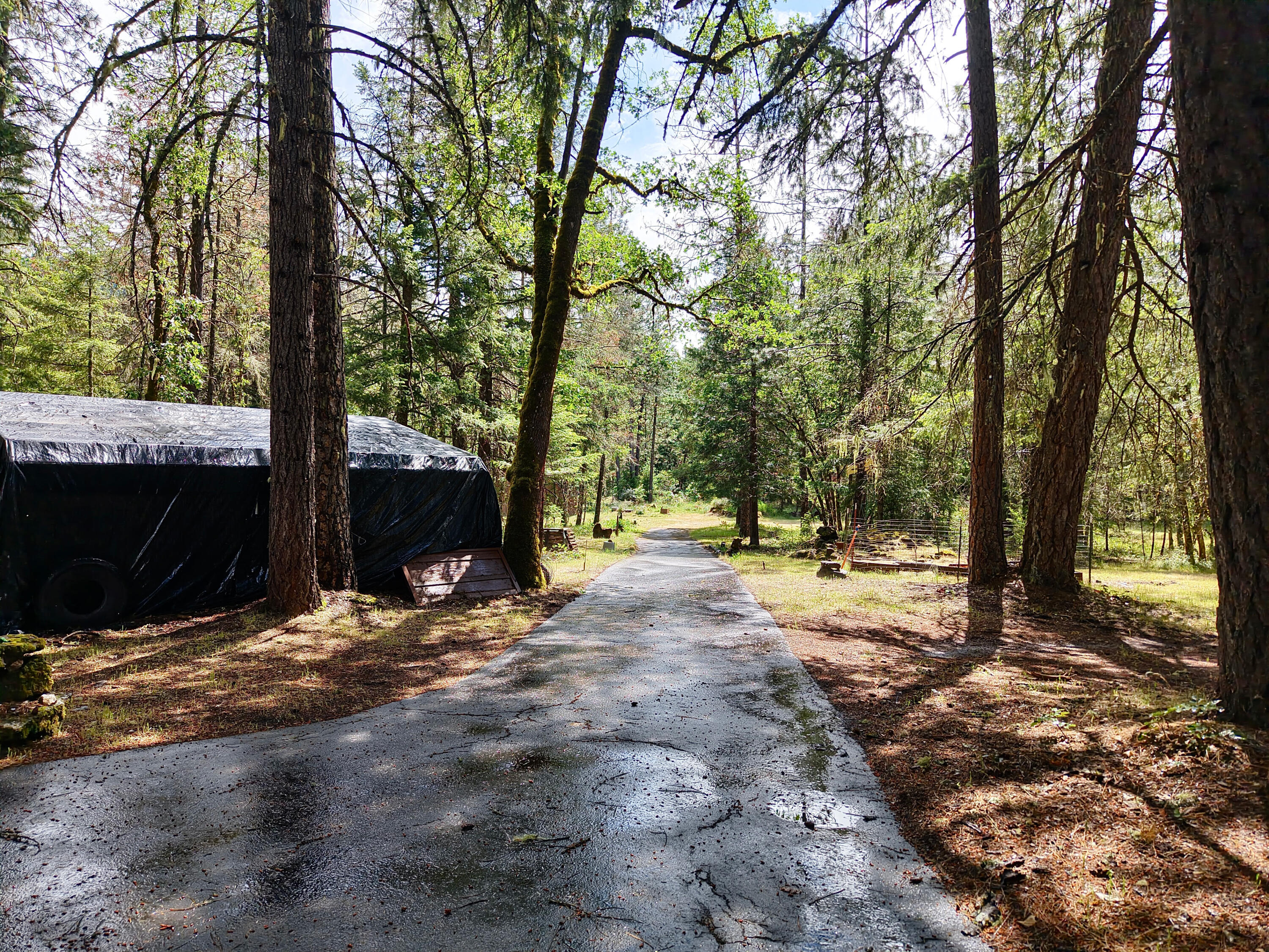 42256 Highway 62 Prospect, OR 97536 - Photo 39 of 48 a view of a yard with trees